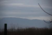 Imagine atasata: IMG_1185.JPG